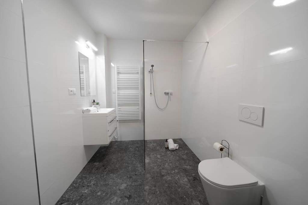 Apartment 3b Bright Beautiful Newly Renovated 3br Prague